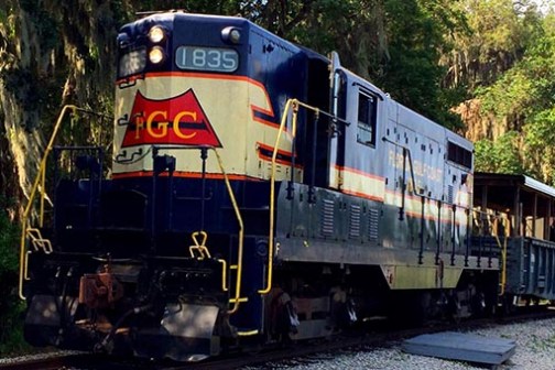 a train traveling down train tracks near a forest