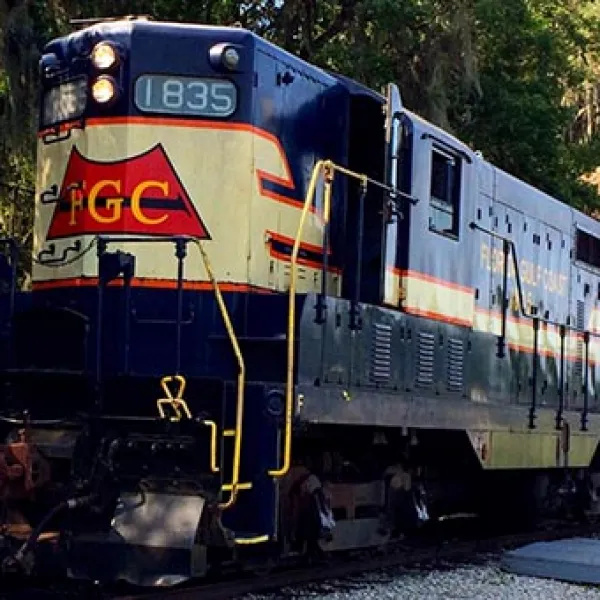 a train traveling down train tracks near a forest