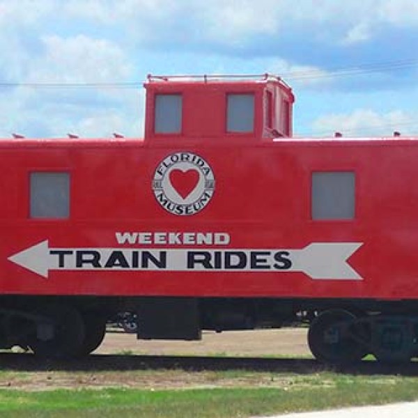 a train that is sitting in the grass