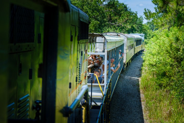 a group of people traveling on a train track with trees in the background