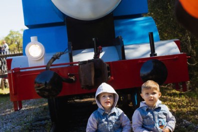 a group of stuffed animals